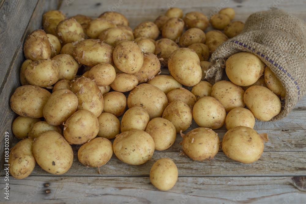 Patates Patates