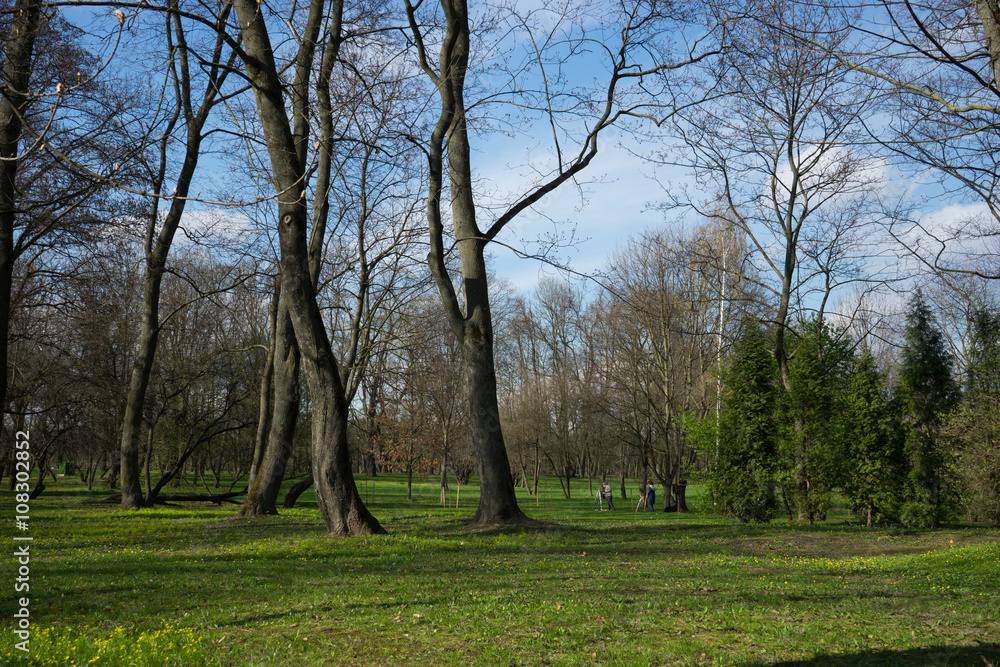 Spring is in the Loshitsa Park in Minsk Spring is in the Loshitsa Park in Minsk