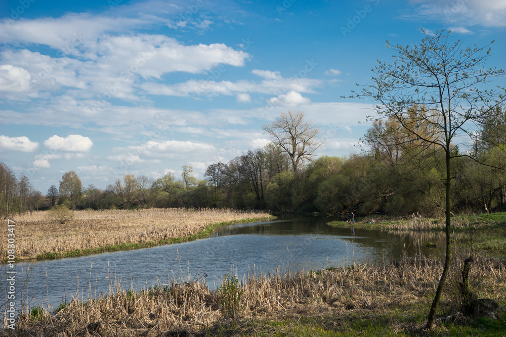 Panorama of Loshitsa Park in Minsk