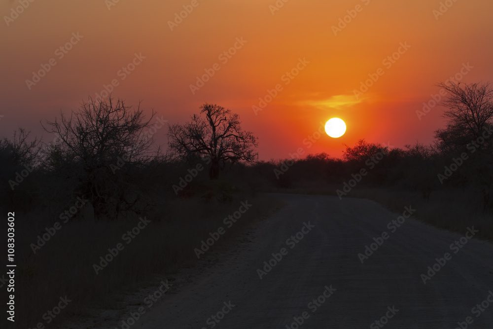 African sunset with a tree silhouette