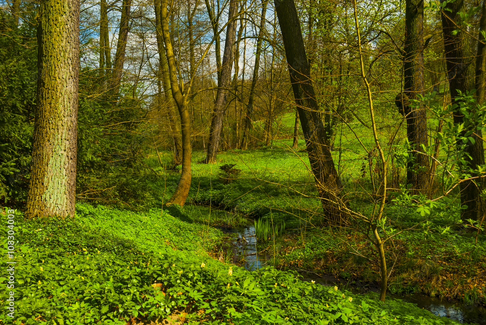 Leśny Park Kultury i Wypoczynku w Bydgoszczy, Myślęcinek, Bydgoszcz, Polska, Europa Leśny Park Kultury i Wypoczynku w Bydgoszczy, Myślęcinek, Bydgoszcz, Polska, Europa