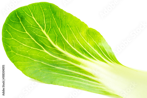 Pak Choi frisch