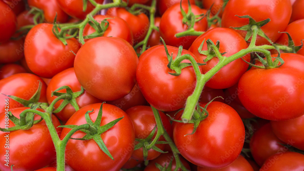 Red tomatoes.  tomato