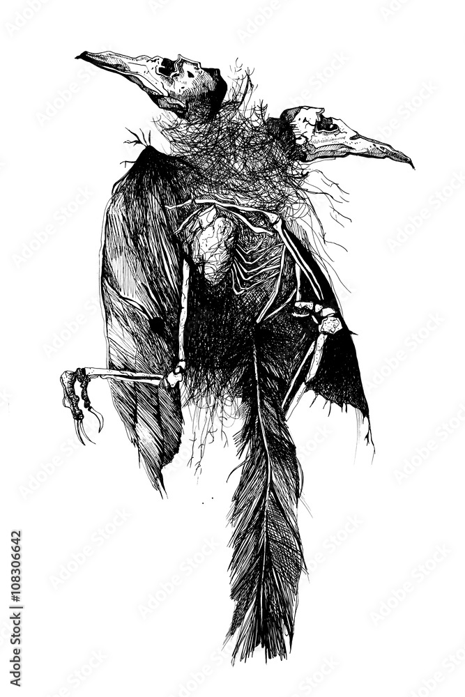 File:Black and white line art drawing of bird body.jpg - Wikimedia