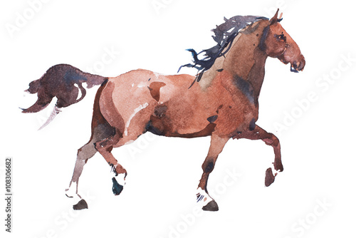 watercolor drawing of jogging horse  young mustang doing dogtrot aquarelle painting