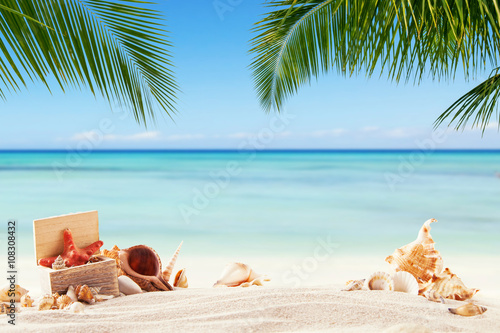 Fototapeta Naklejka Na Ścianę i Meble -  Summer sandy beach with blur ocean on background