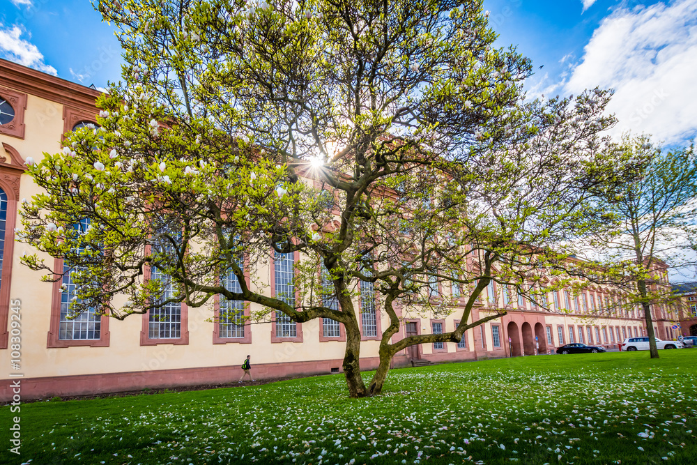Obraz premium Mannheim