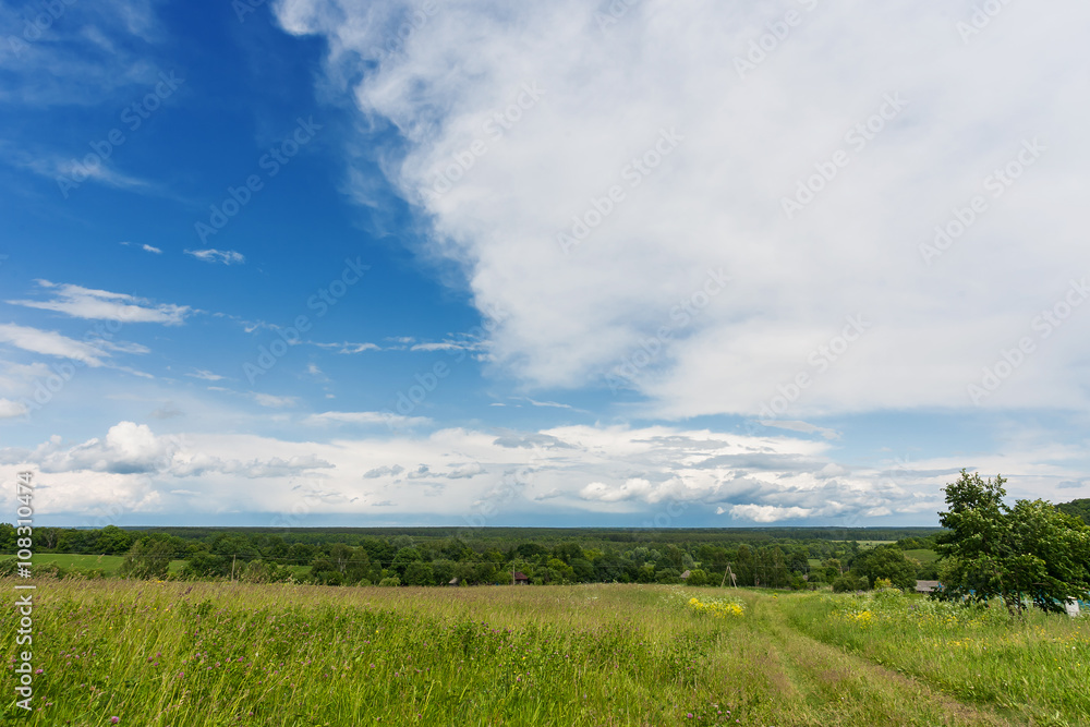 Fototapeta premium Countryside natural background. Rural path winds along the field. Cloudscape in sunny day. Russia.