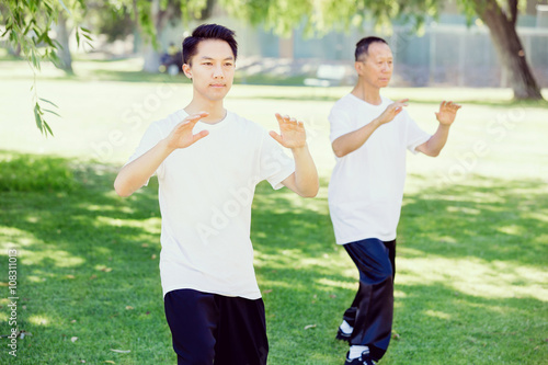 People practicing thai chi in park