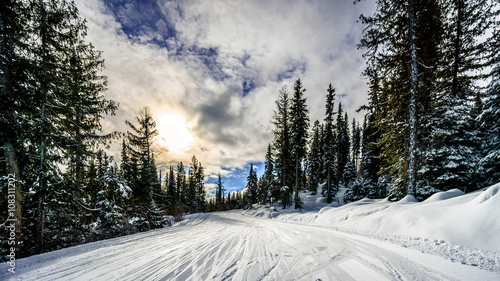 Snow covered forest road near the village of Sun Peaks in the Shuswap Highlands in central British Columbia