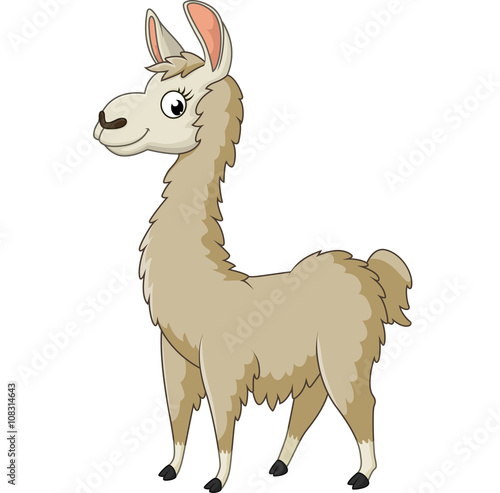 Llama cartoon