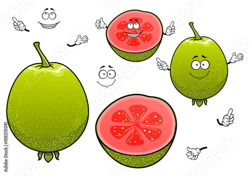 Mexican tropical cartoon guava fruits characters