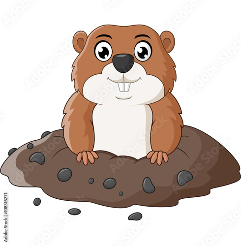 Cartoon funny groundhog