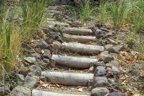 natural trunk wood stairs