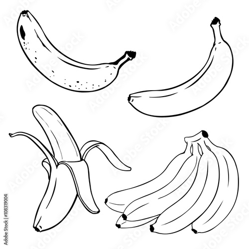 Vector Set of Line-Art Bananas. Overripe Banana, Single Banana , Peeled Banana, Bunch of Bananas.