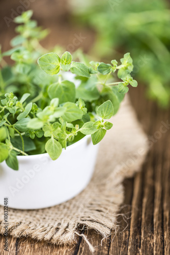 Fresh Oregano on wooden background