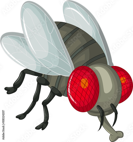 cute fly insect cartoon