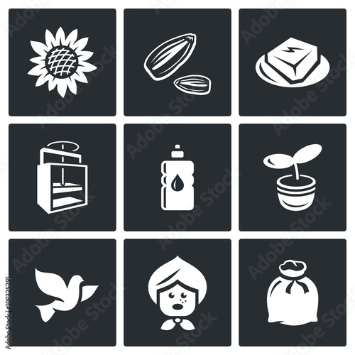 Vector Set of Sunflower Icons. Flower, Seed, Halva, Press, Oil, Seedling, Dove, grandmother, Sack.