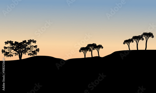 Silhouette of tree at the morning