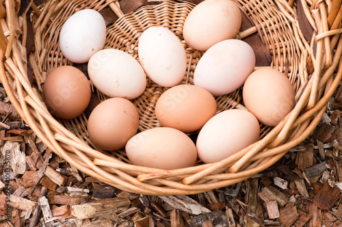 Wallpaper Mural High angle view of farm fresh eggs in a wicker basket (cropped) Torontodigital.ca