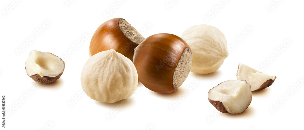 Hazelnut nut group many horizontal isolated on white background