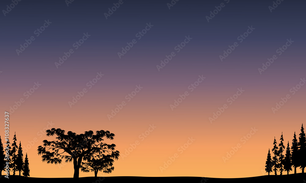 View of tree at sunrise
