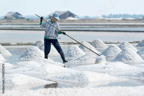 Sea salt harvesting in Pak Thale, Phetchaburi, Thailand