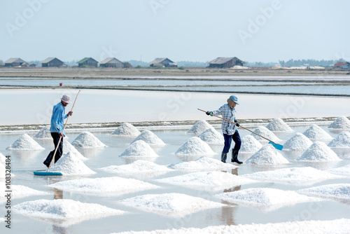 Sea salt harvesting in Pak Thale, Phetchaburi, Thailand