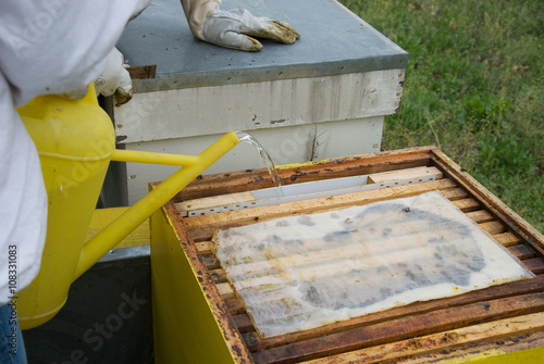 Supplemental feeding of bees