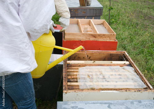 Supplemental feeding of bees