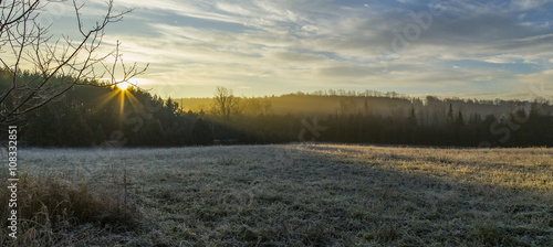 morning frosty landscape