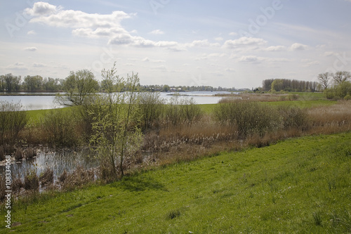 Foreland of Dutch river Meuse, Poederoijen, Gelderland, Netherlands