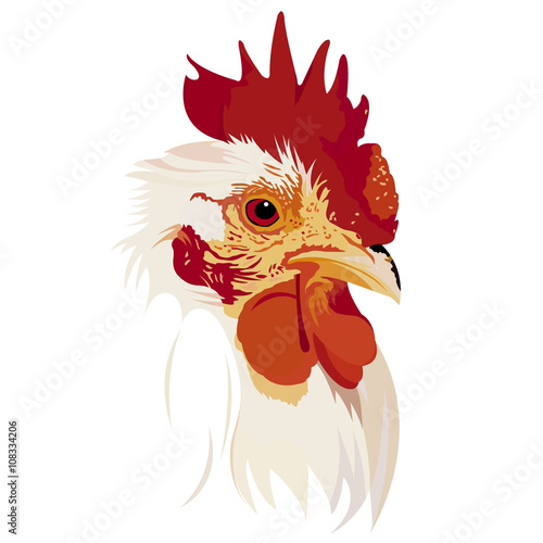 chicken/  鶏、酉、にわとり