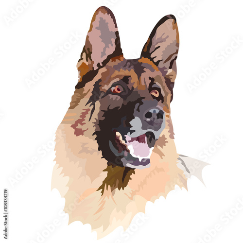 dog/ シェパード、戌、犬