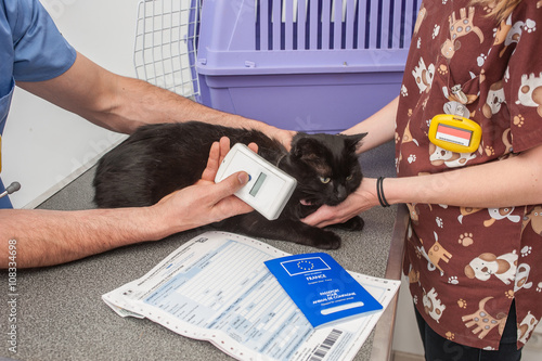 identification par puce électronique est obligatoire pour les animaux domestiques, la puce s'implante a gauche sous sédation.