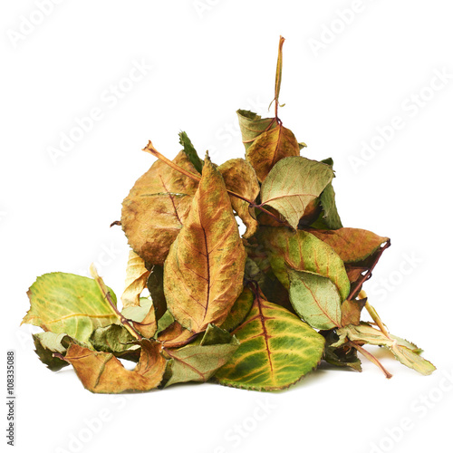 Foto Pile of dried rose leaves as an abstract composition over white background