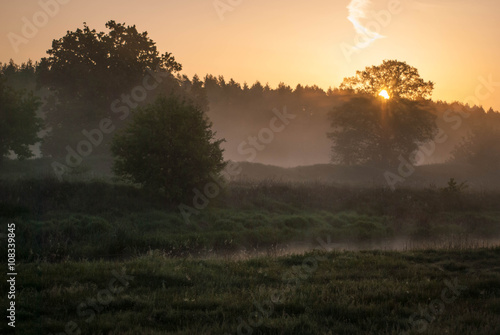 Sunrise over the forest in the fog