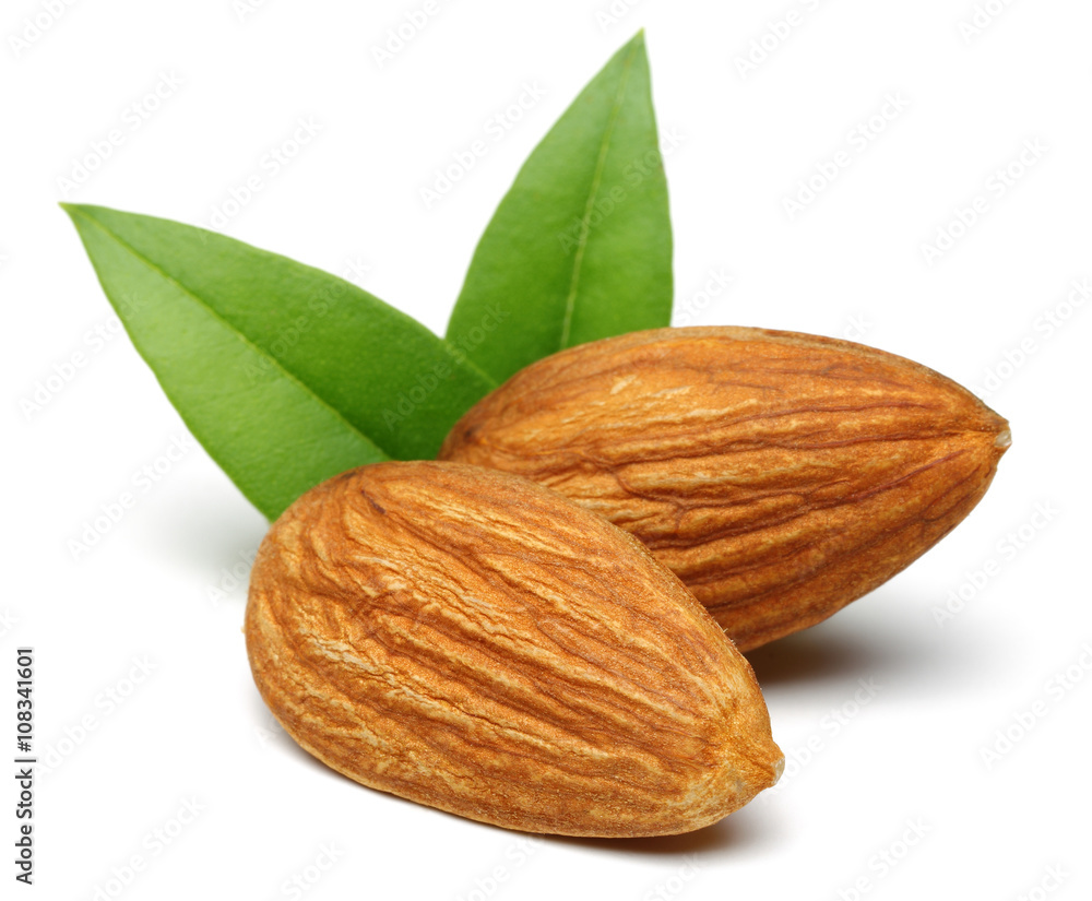 Almond group Almond group