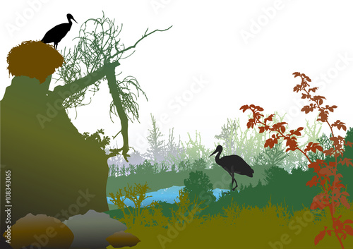 Panoramic wild landscape with a pond, broken tree, plants and storks