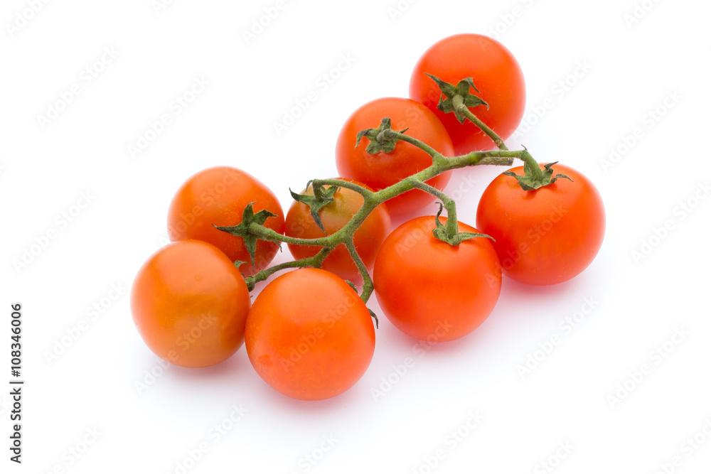 Tomato on the white isolatd background. Tomato on the white isolatd background.