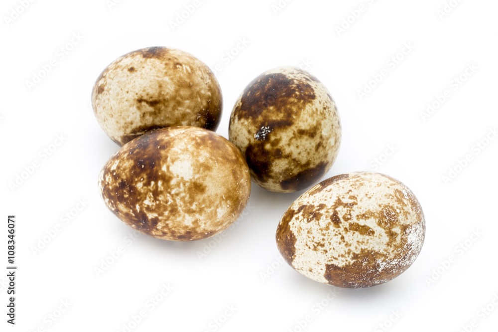 Quail eggs the isolated on a white background. Quail eggs the isolated on a white background.