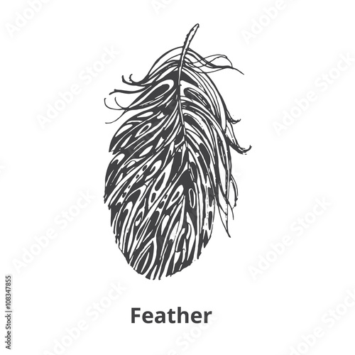 decorative feather