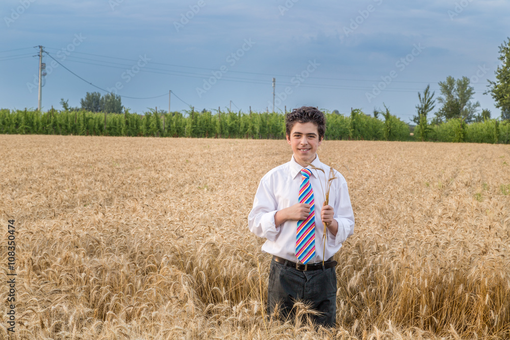 Handsome boy in a golden wheat field Handsome boy in a golden wheat field