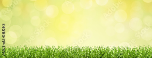 Gras / Hintergrund / Bokeh © Coloures-Pic