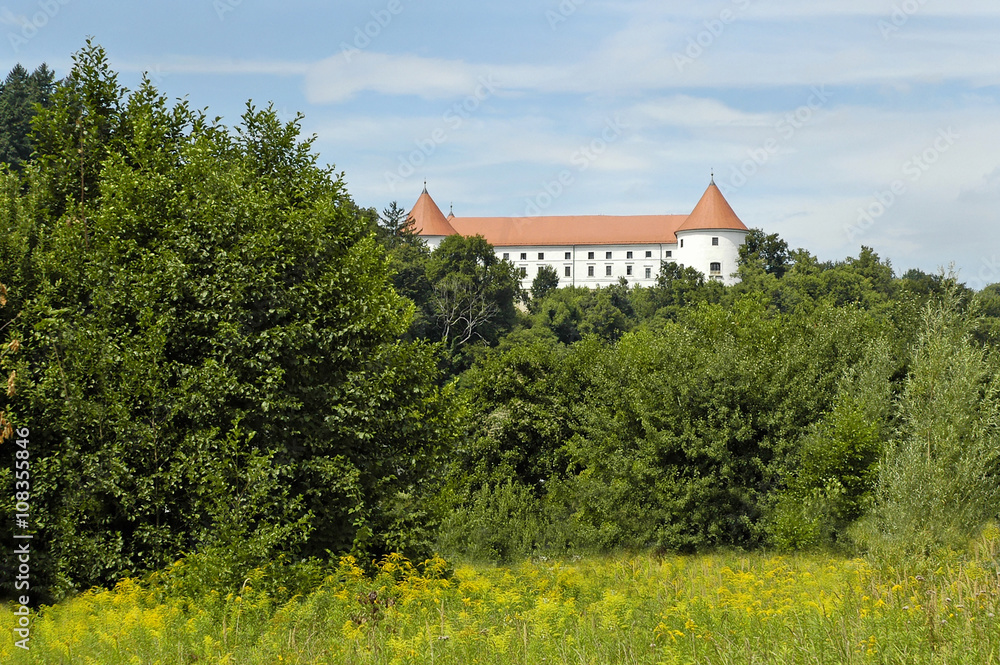 Castle in Slovenia