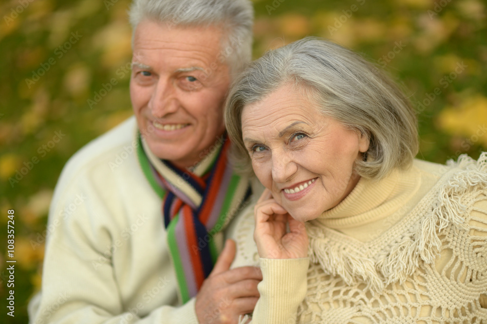 Senior couple in autumn park Senior couple in autumn park