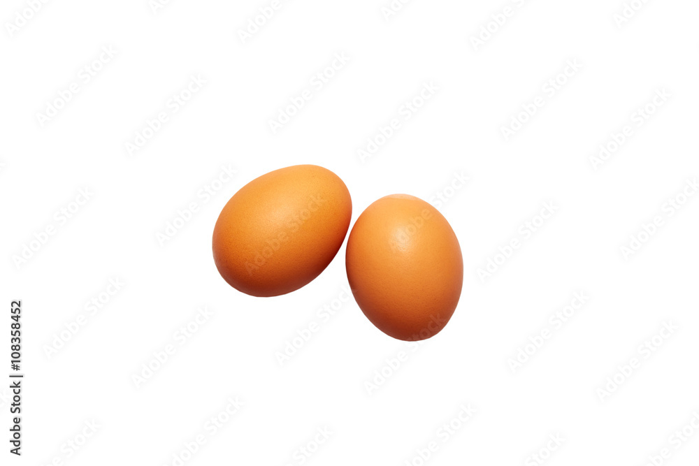 two fresh eggs on a white background two fresh eggs on a white background