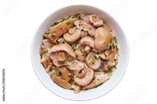 Mushroom salad on a white background