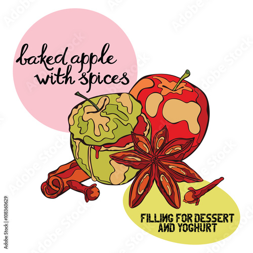 Baked apple and spices. Apple, cinnamon, cloves, dried star anise flowers. Isolated vector object on white background.