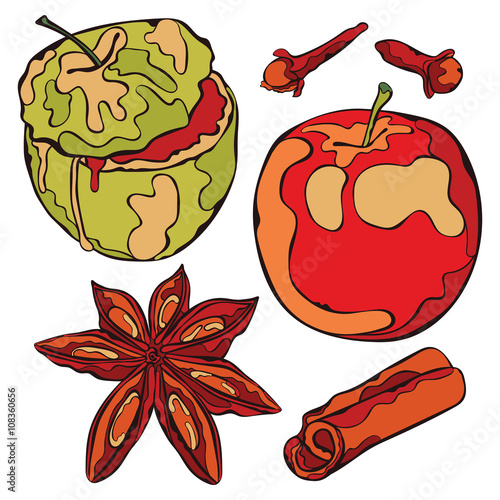 Baked apple and spices. Apple, cinnamon, cloves, dried star anise flowers. Isolated vector object on white background.